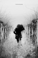 /album/a/a463735-342696119161057-2104325726-o-jpg/